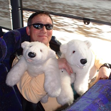 2 Bears