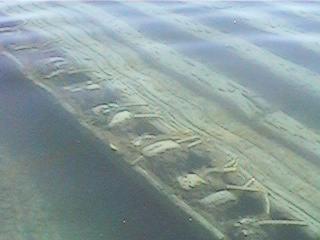 City of Glasgow shipwreck