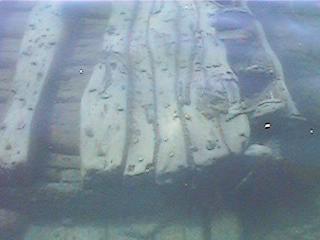 City of Glasgow shipwreck