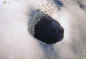 Natural Ice Sculpture