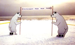 Jacksonport Polar Bear Club Banners