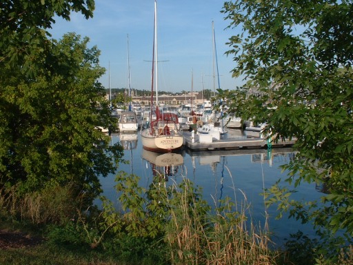Marina with boats as seen thru trees. One boat is named "Adventure"