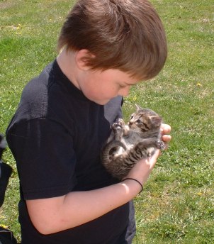 More cute Kittens