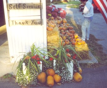pumpkins, gourds and apples