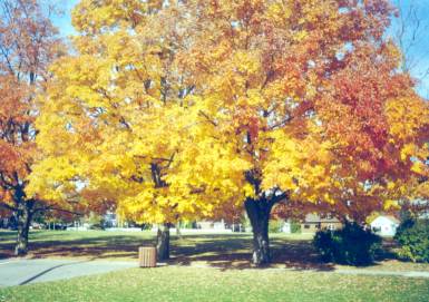 Door County Fall 2000